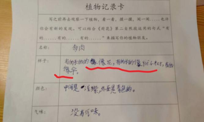 如何让劳尔叶快速发芽（掌握这些技巧）