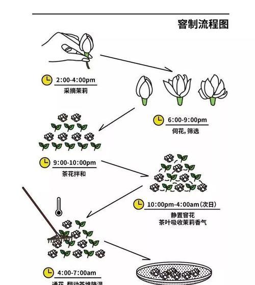 如何正确上盆与养护红枫（红枫树的生长需要科学养护）