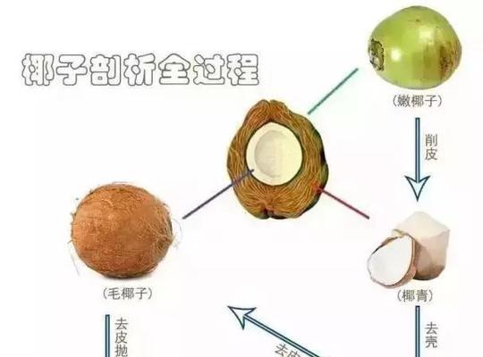 椰子壳转化成肥料的方法（废物再利用）