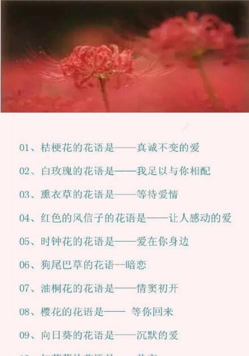 绣球花（探索绣球花的神秘世界）