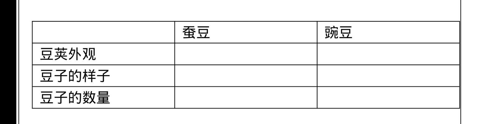 豌豆种植时间与生长周期（从种子到果实）