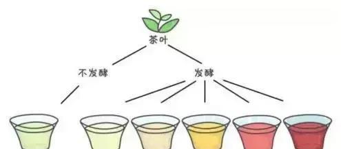 四季茶花花语及代表意义（四季茶花传递的美丽信息与情感）