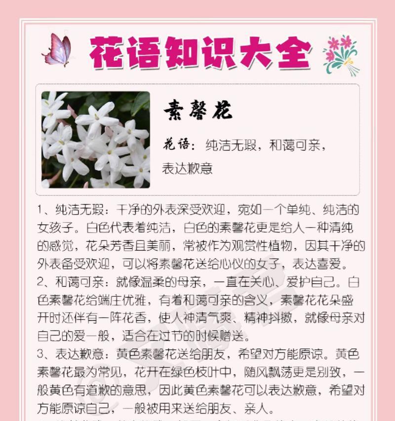 碗莲花语与寓意（美丽的花朵中蕴含的深刻寓意）