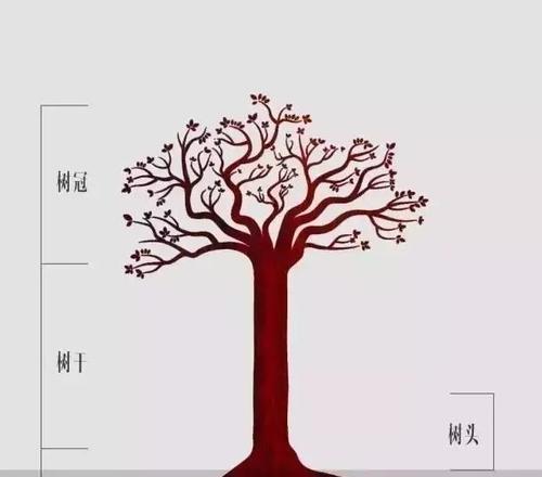 小叶紫檀的繁殖技巧（如何成功地繁殖小叶紫檀）