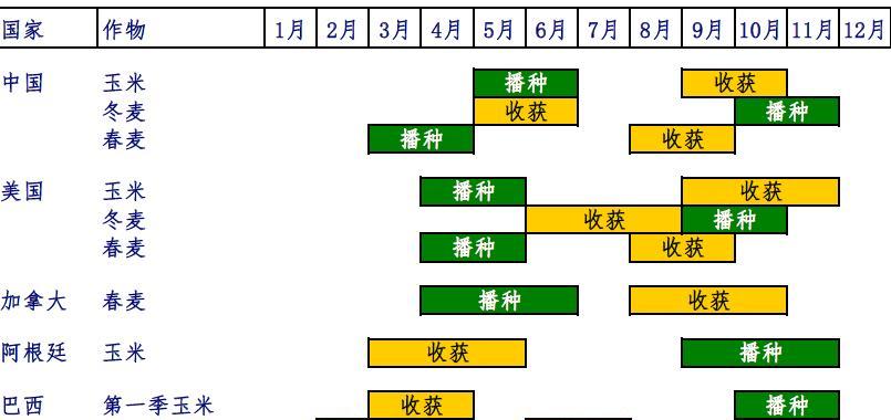 春小麦套种的作物选择及技术要点（科学搭配）