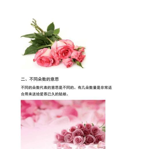 粉色玫瑰花代表什么？粉色玫瑰花的花语有哪些含义？