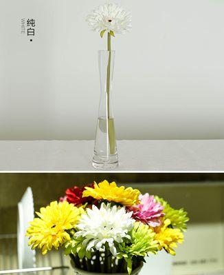 扶郎花语是什么？扶郎花代表了哪些含义？