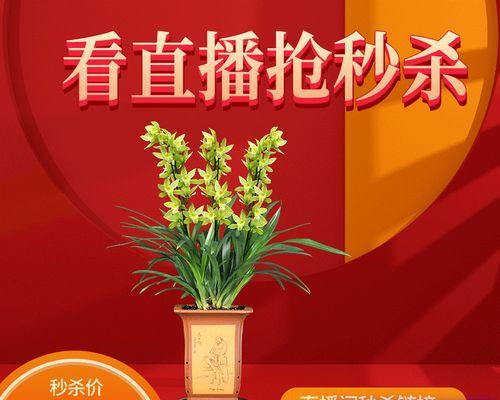 花卉直播间的名称是什么？有哪些流行的花卉直播平台？