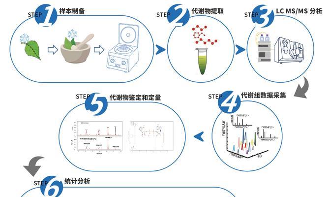 植物次生代谢产物包含哪些成分？它们有何作用？