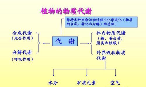 植物次生代谢产物包含哪些成分？它们有何作用？