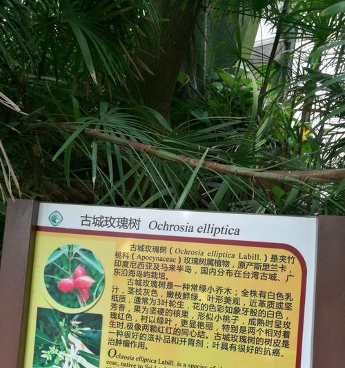 植物标牌有哪些特色？如何选择适合的植物标牌？