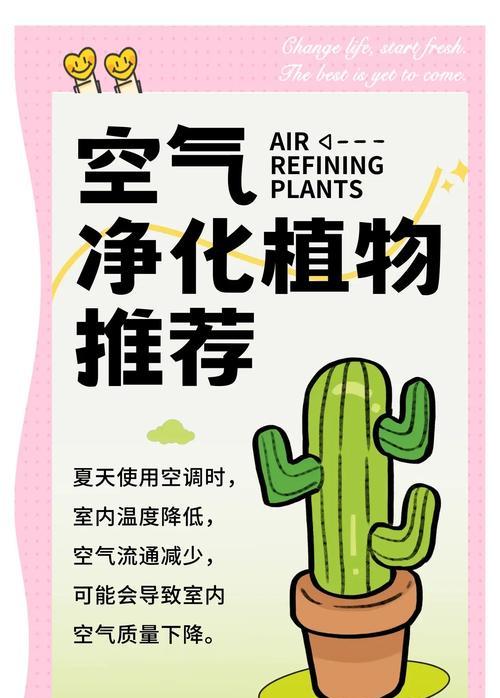 什么植物净化空气最好？它们的净化能力如何？