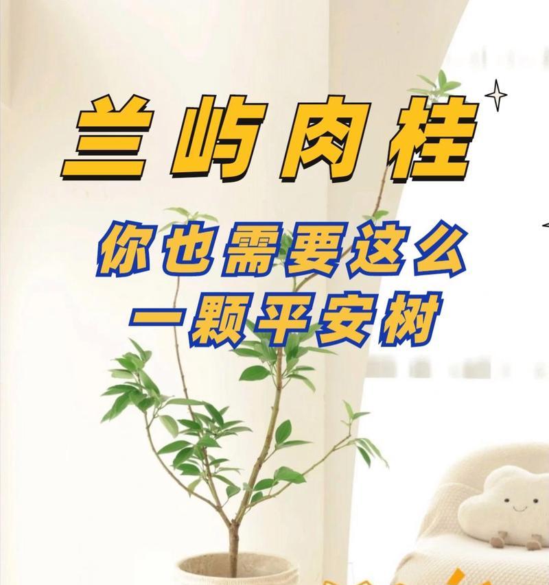 观形植物是什么？它们有哪些特点？