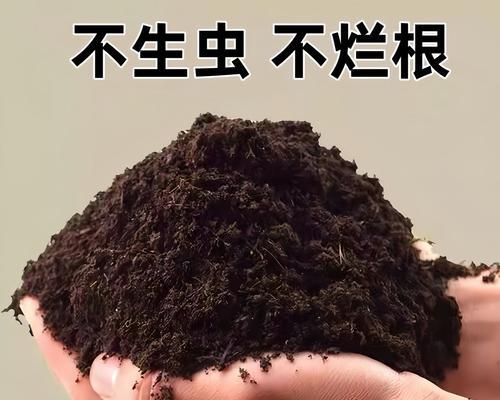 栽种花卉时土壤需要压实吗？这样做有什么好处？