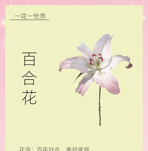 红百合花环的寓意和象征是什么？它在文化中代表什么？