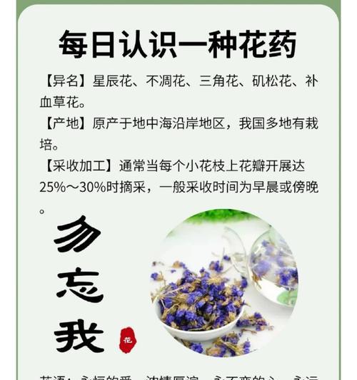 勿忘我花的花语代表什么？