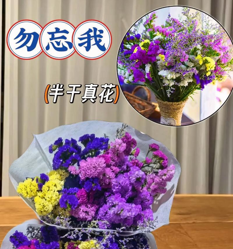 勿忘我花的花语代表什么？