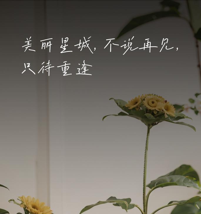 什么花的花语是离别？为何这种花常与离别联系在一起？