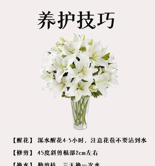 百合纯音乐笛声代表了什么？它在音乐中有何寓意？