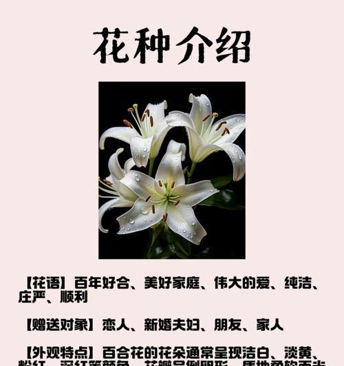 百合花象征伟大的爱吗？