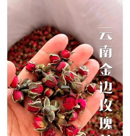 高档花卉品种有哪些？如何挑选？