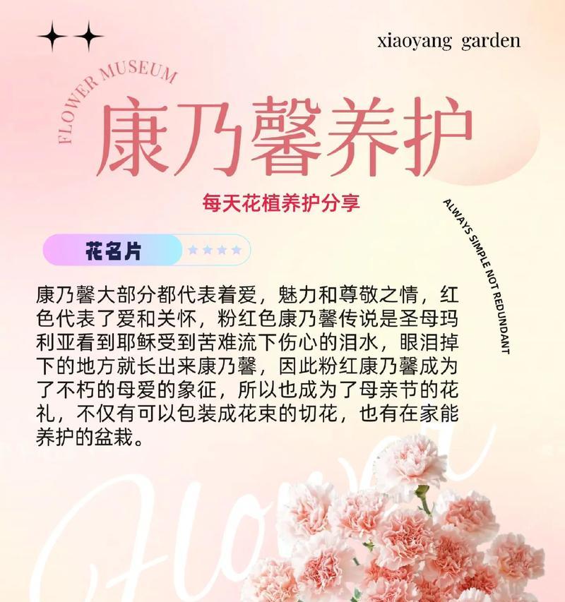 道具康乃馨的花语和寓意是什么？