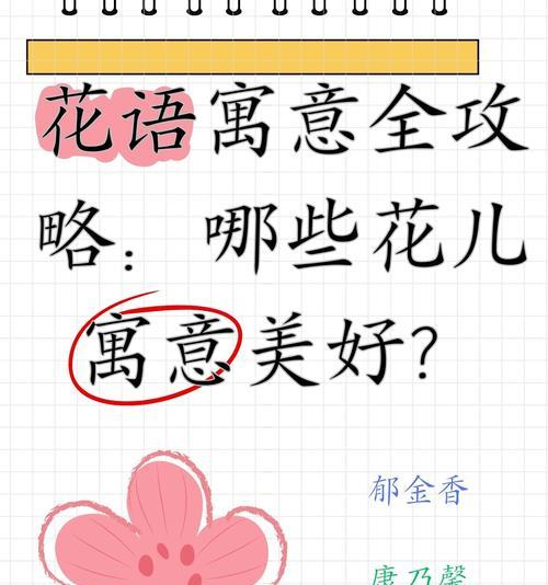 长生花的花语有何特殊含义？它在花卉文化中扮演什么角色？