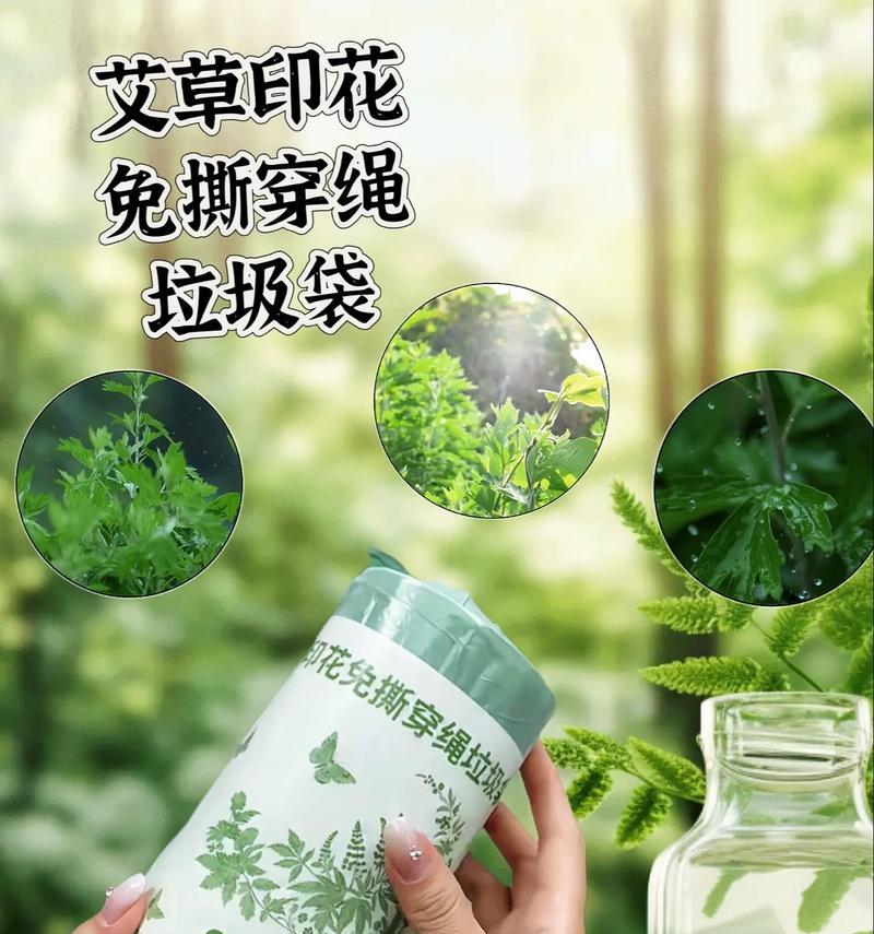 植物袋如何正确挂在墙上？挂在墙上的植物袋有何好处？