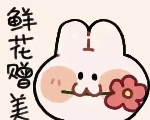 表情包里的玫瑰花代表什么情感？