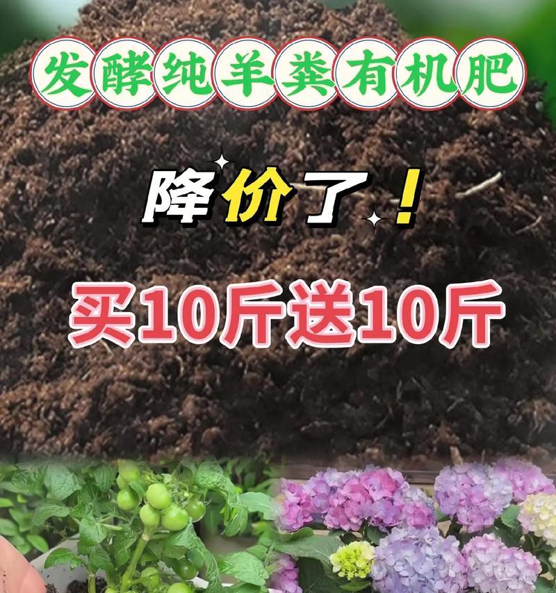 植物需要施哪种肥料？施肥的正确方法是什么？