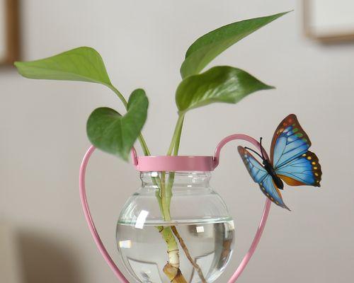 水培育植物摆件有哪些？如何打造美观的水培景观？