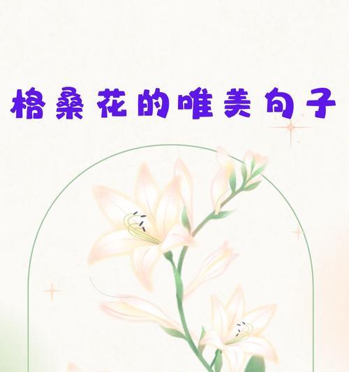 纯真的星空花语代表了哪种花？